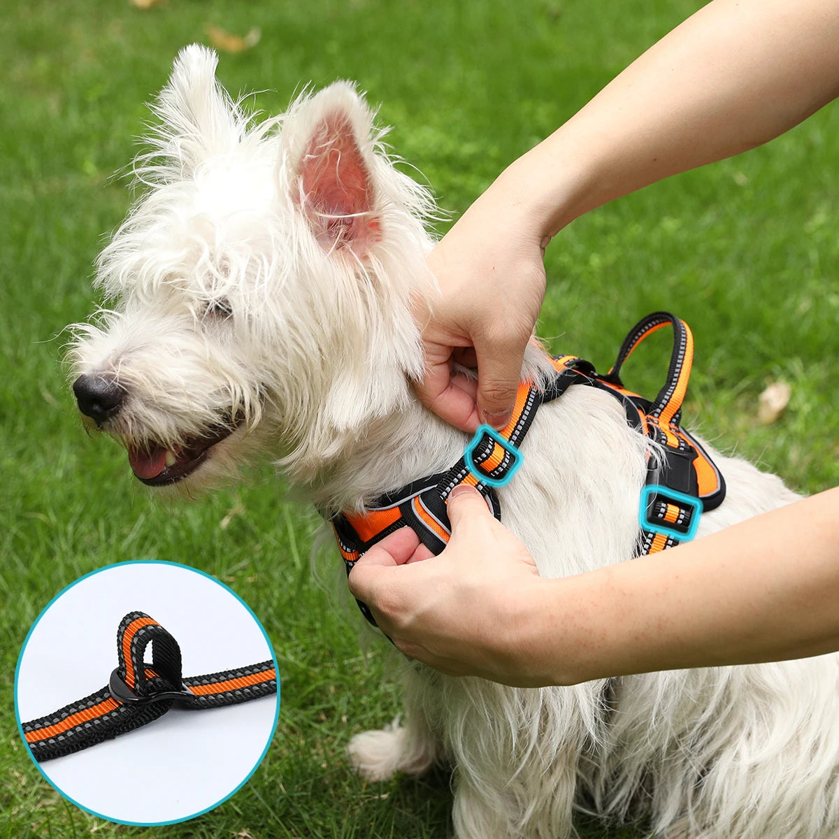 Harnais Anti traction pour chien