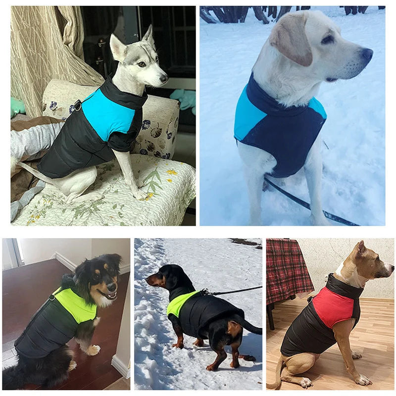 Manteau d'hiver  pour chiens