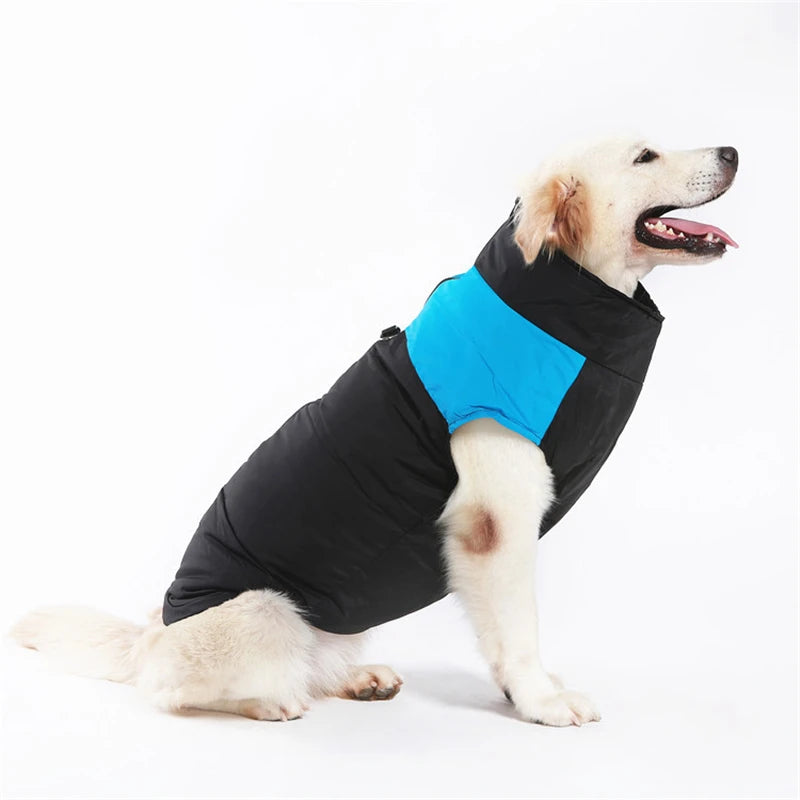 Manteau d'hiver  pour chiens