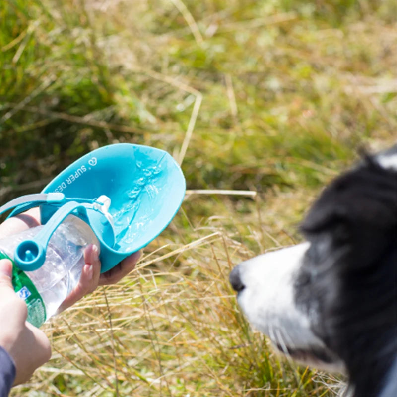 Gourde pour chien avec support