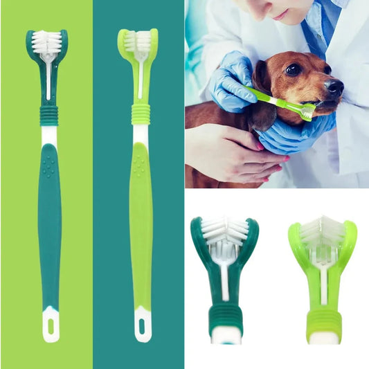 Brosse à dents pour chien