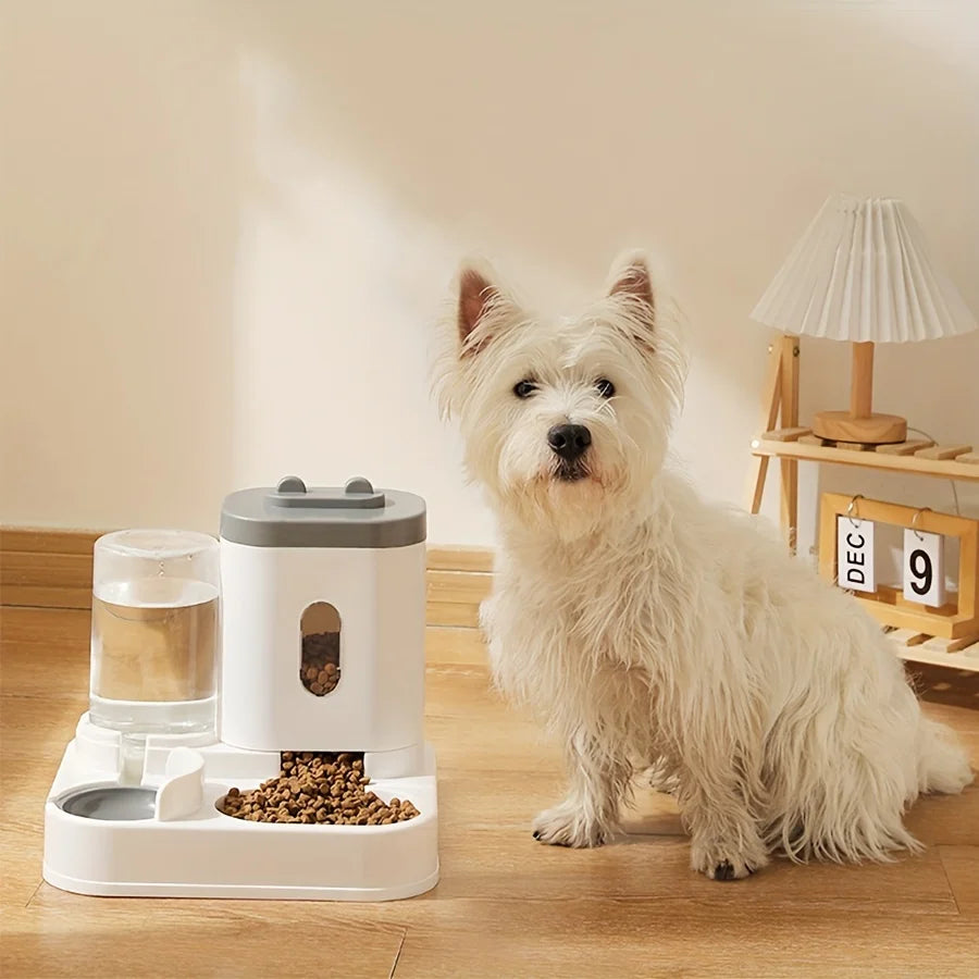 Fontaine à eau, mangeoire automatique pour animaux de compagnie