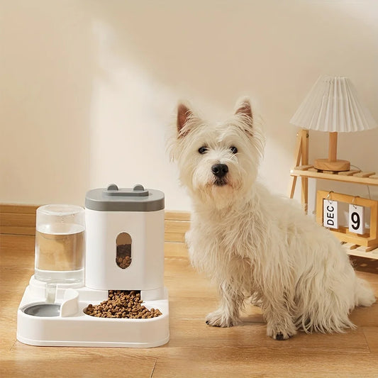 Fontaine à eau, mangeoire automatique pour animaux de compagnie