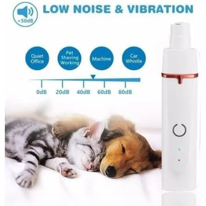 Rasoir pour chien et chat avec plusieurs embout