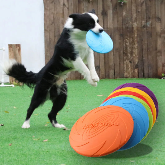 Frisbee