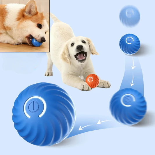 Balle Intelligente pour Chien et Chat