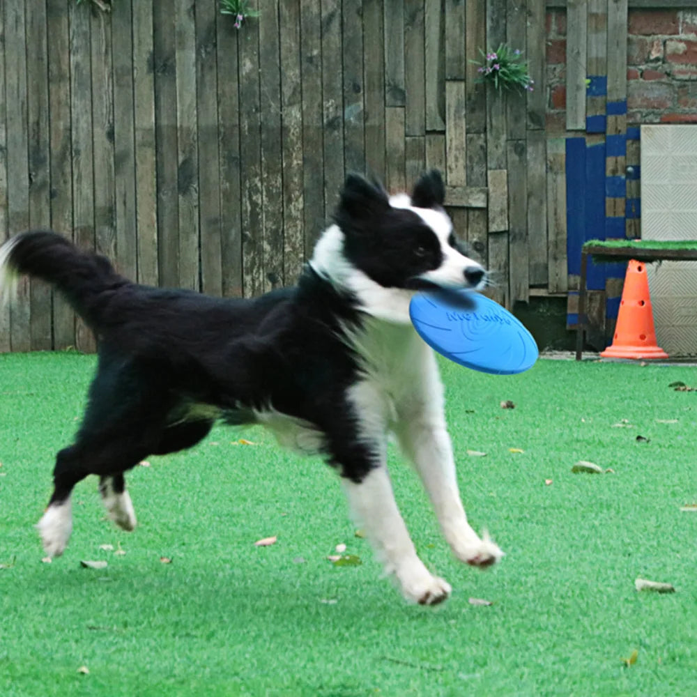 Frisbee