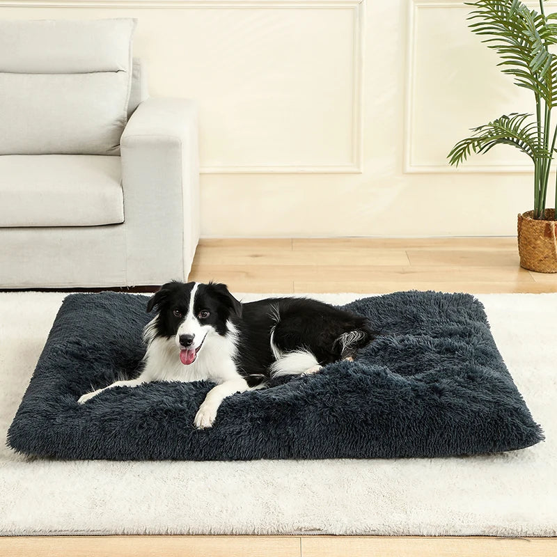 Tapis doux et long en peluche pour animaux de compagnie