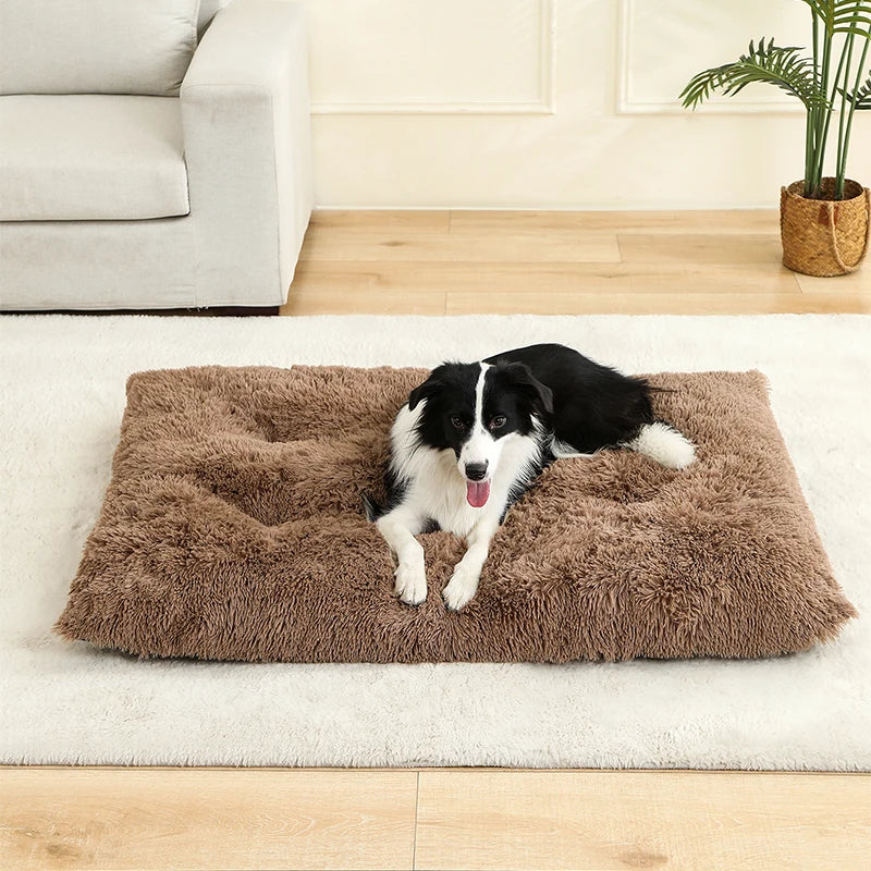 Tapis doux et long en peluche pour animaux de compagnie