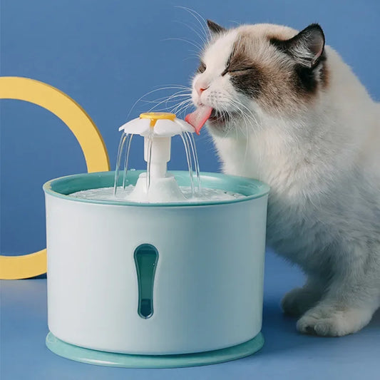 Fontaine a eau pour chat