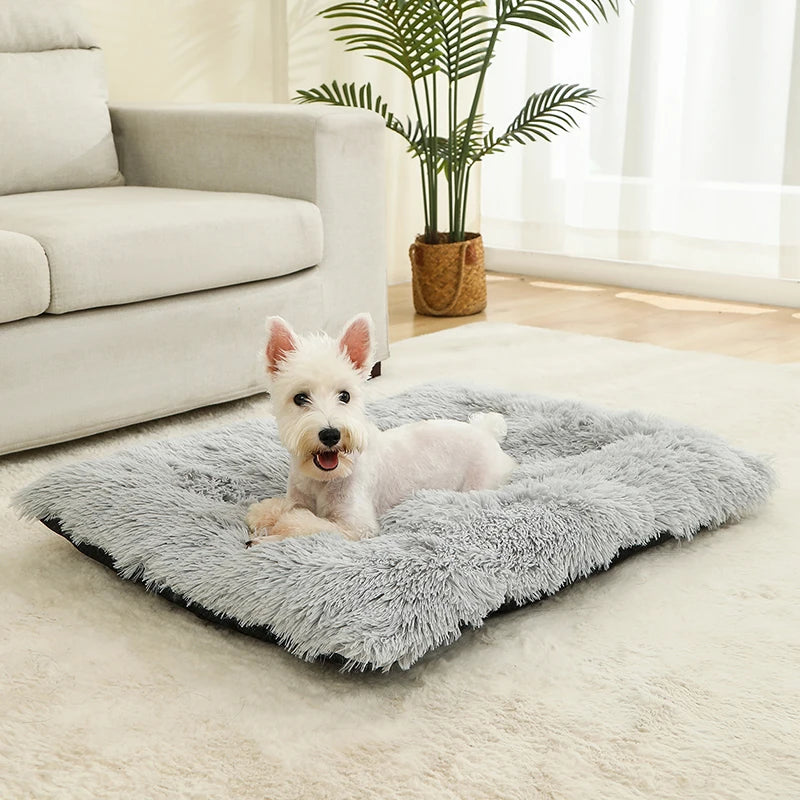 Tapis doux et long en peluche pour animaux de compagnie