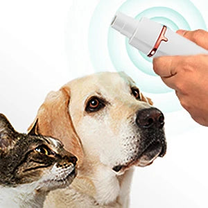 Rasoir pour chien et chat avec plusieurs embout