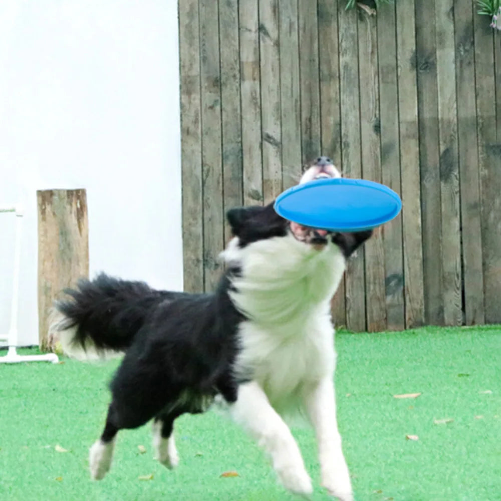 Frisbee