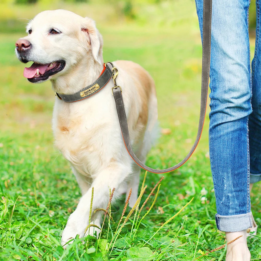 Laisse en cuir pour chien