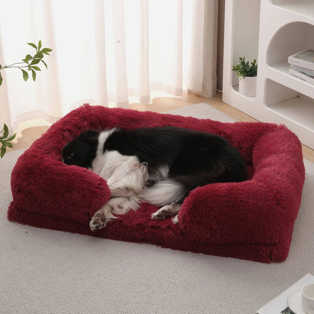 Coussin orthopédique pour chien