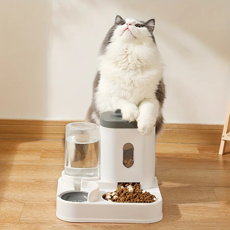 Fontaine à eau, mangeoire automatique pour animaux de compagnie