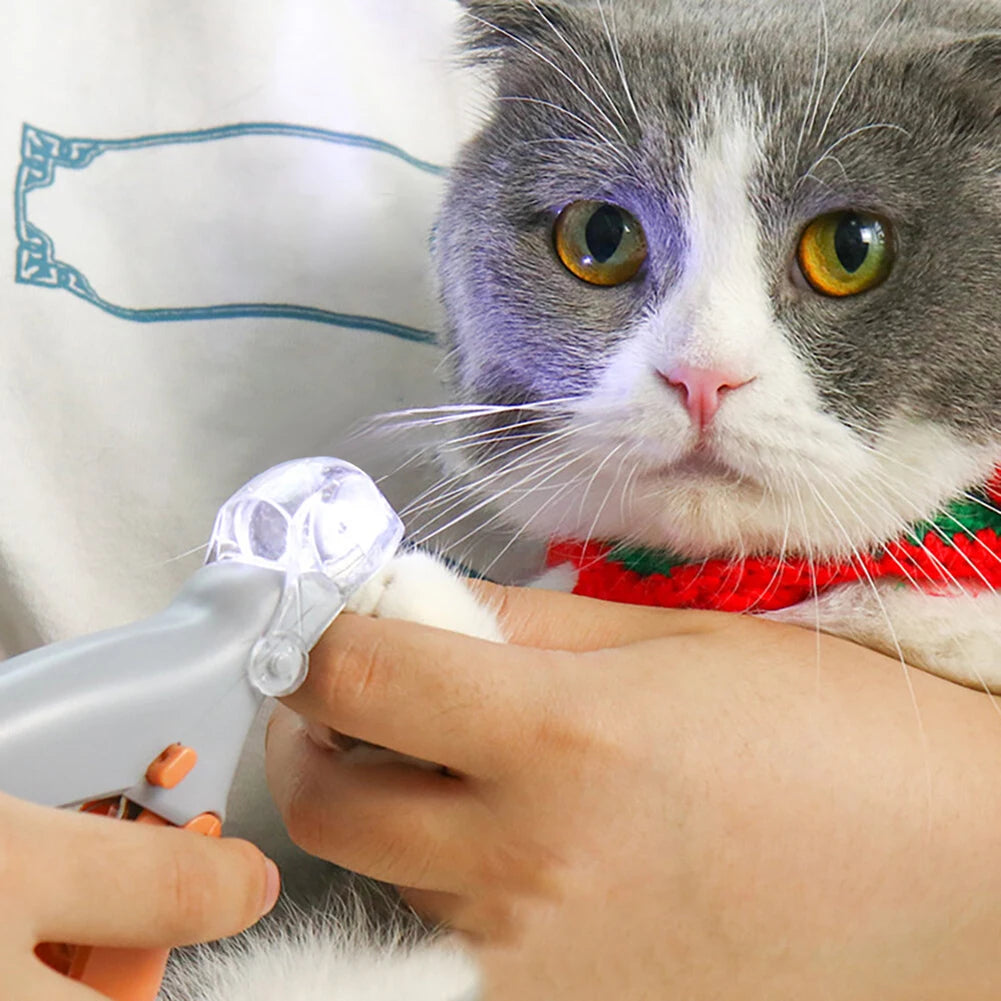 Coupe ongles professionnel pour chat