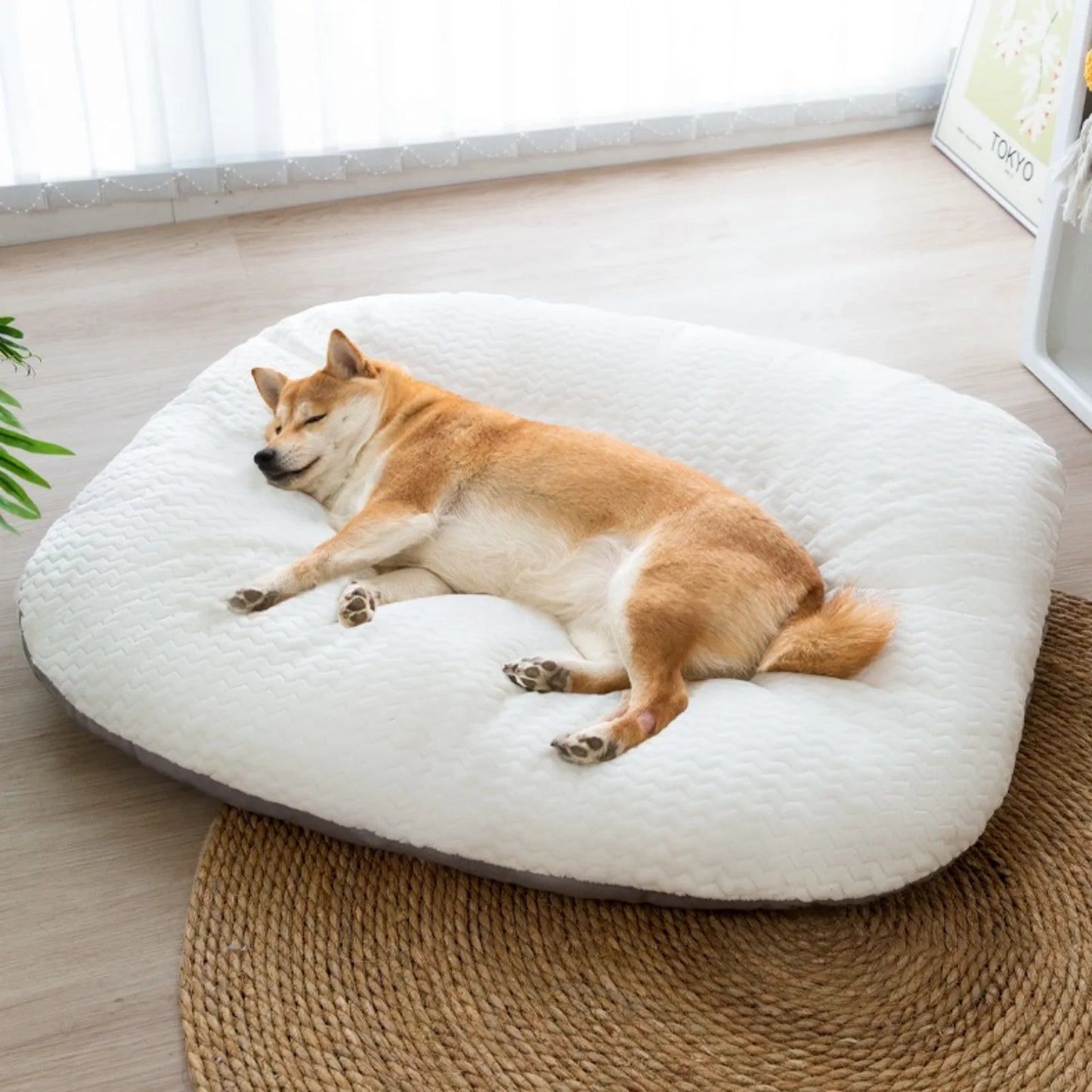 Sofa moelleux pour chien