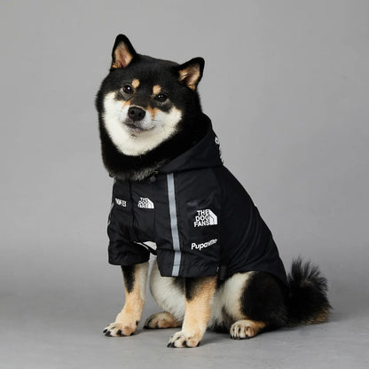 Veste Design pour chien