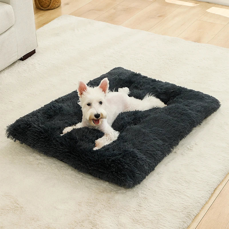 Tapis doux et long en peluche pour animaux de compagnie