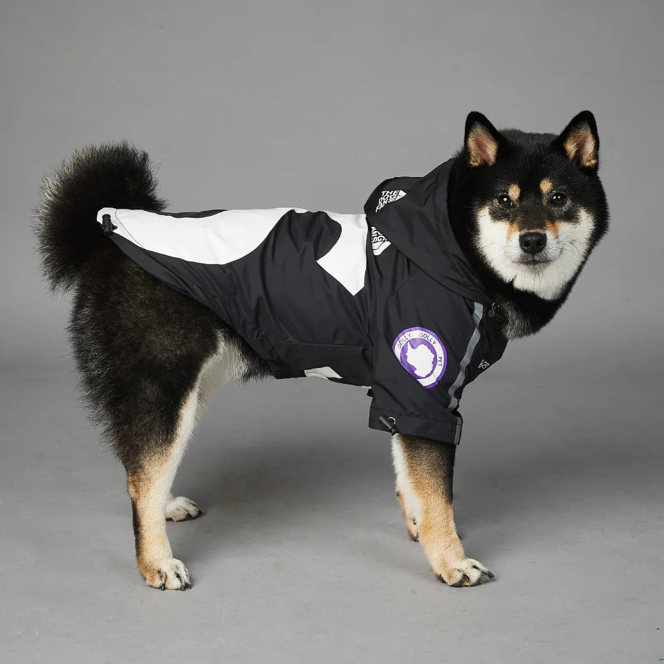 Veste Design pour chien