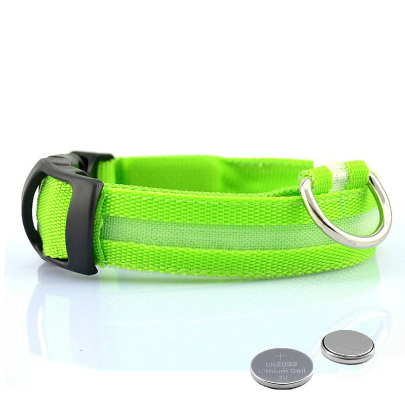 Collier lumineux pour chien