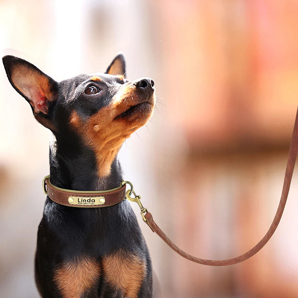 Laisse en cuir pour chien