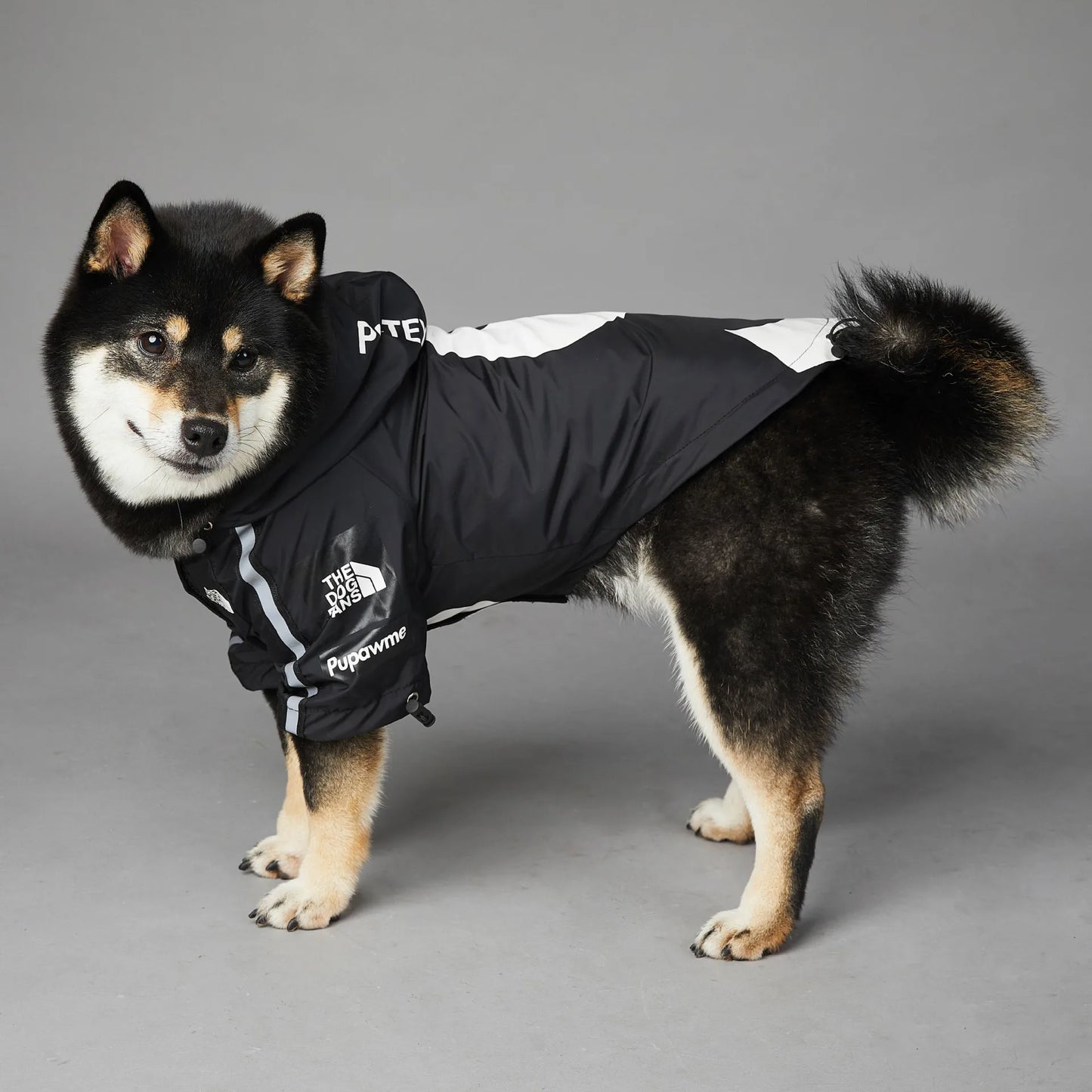 Veste Design pour chien