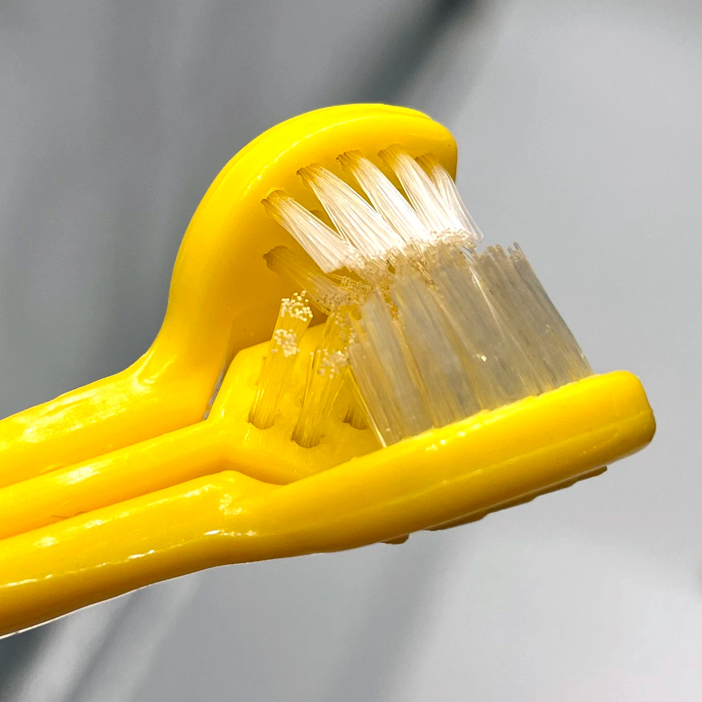 Brosse à dents pour chien