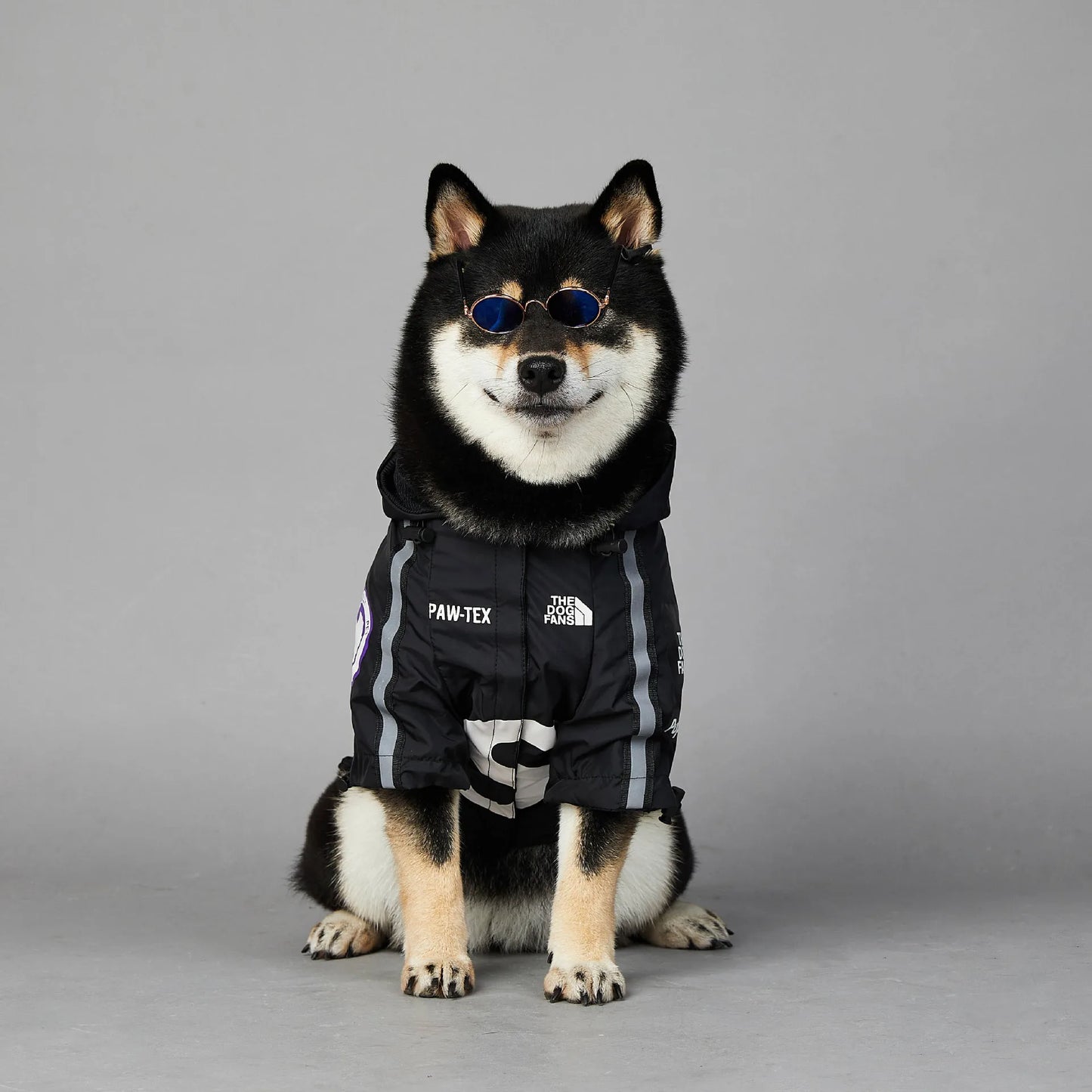 Veste Design pour chien