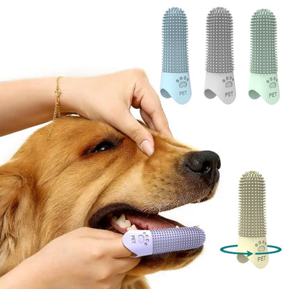 Brosse à dents pour chien