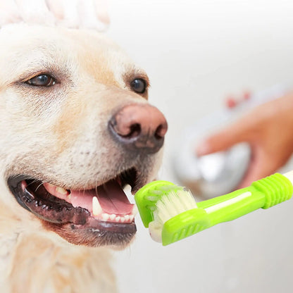 Brosse à dents pour chien