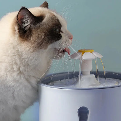 Fontaine a eau pour chat