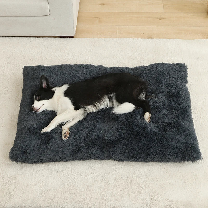 Tapis doux et long en peluche pour animaux de compagnie