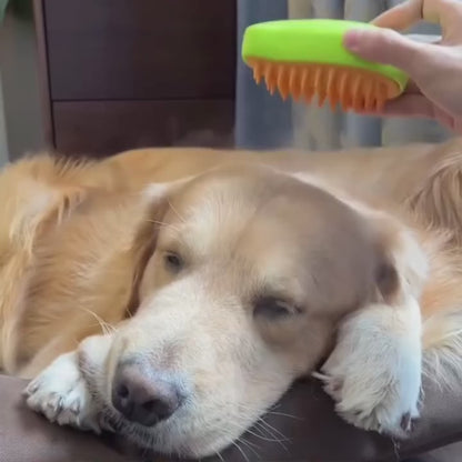 Brosse massante  pour animaux